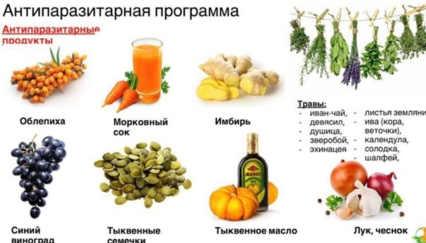 Антипаразитарные продукты: естественная защита организма!