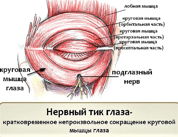 Как снять усталость с глаз и избавиться от нервного тика.